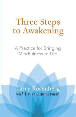 Three Steps to Awakening - A Practice for Bringing Mindfulness to Life