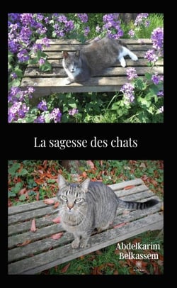 La sagesse des chats - Roman philosophique dialogué