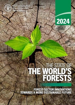 The State of the World’s Forests 2024: Forest-Sector Innovations towards a More Sustainable Future