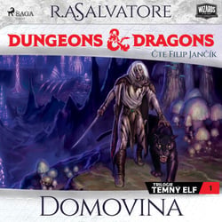 Dungeons &amp; Dragons. Legenda o Drizztovi. Temný elf 1: Domovina