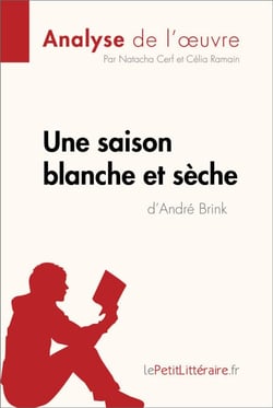 Une saison blanche et sèche d'André Brink (Analyse de l'oeuvre) - Analyse complète et résumé détaillé de l'oeuvre
