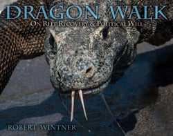 Dragon Walk - On Reef Recovery &amp; Political Will