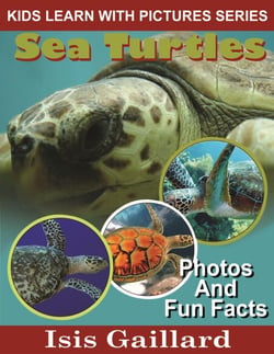 Sea Turtles Photos and Fun Facts for Kids - Kids Learn With Pictures, #4