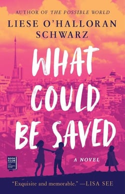 What Could Be Saved - A Novel