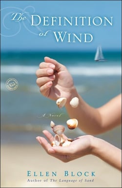 The Definition of Wind - A Novel