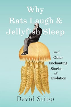 Why Rats Laugh and Jellyfish Sleep - And Other Enchanting Stories of Evolution