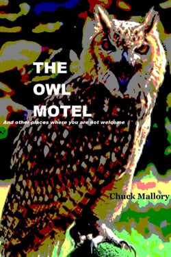 The Owl Motel: And Other Places Where You Are Not Welcome