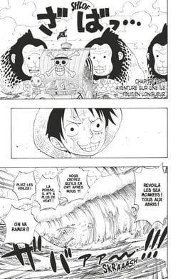 One Piece édition originale - Chapitre 304 - Aventure sur une île tout en longueur