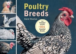 Poultry Breeds - Chickens, Ducks, Geese, Turkeys: The Pocket Guide to 104 Essential Breeds