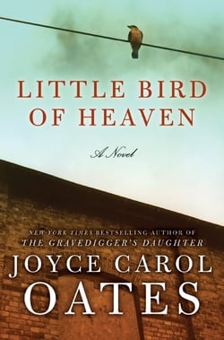 Little Bird of Heaven - A Novel