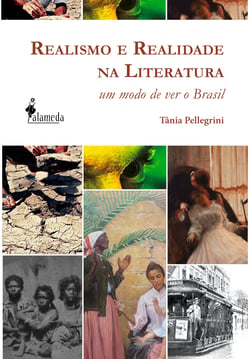 Realismo e Realidade na Literatura - um modo de ver o Brasil
