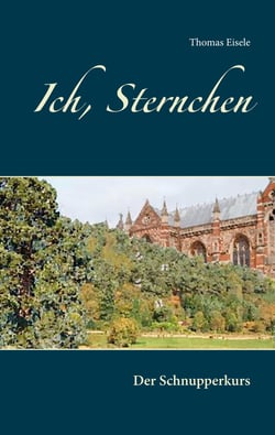 Ich, Sternchen - Der Schnupperkurs