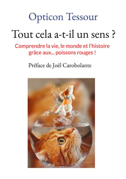 Tout cela a-t-il un sens ? - Comprendre la vie, le monde et l'histoire grâce aux... poissons rouges !