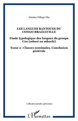 Les langues Bantoues du Congo-Brazzaville - - Tome 2 : Classes nominales, Conclusion générale