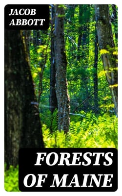 Forests of Maine - Marco Paul's Adventures in Pursuit of Knowledge