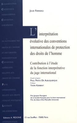 L'interprétation évolutive des conventions internationales de protection des droits de l'homme : contribution à l'étude de la fonction interprétative du juge international