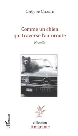 Comme un chien qui traverse l'autoroute - Nouvelles