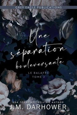 Une séparation bouleversante - Le balafré, #2