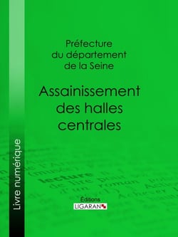 Assainissement des halles centrales - Résumé des travaux de la commission chargée d'examiner les questions qui se rattachent à cet assainissement