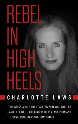 Rebel in High Heels: True Story about the Fearless Mom who Battled - and Defeated - the Kingpin of Revenge Porn and the Dangerous Forces of Conformity