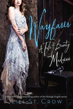 Wayfarer - A Tale of Beauty and Madness