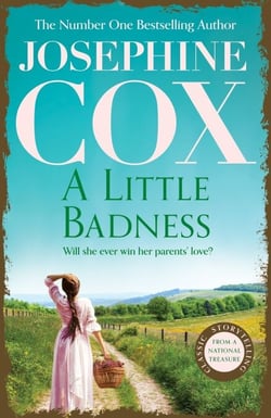 A Little Badness - An irresistible and wildly romantic saga
