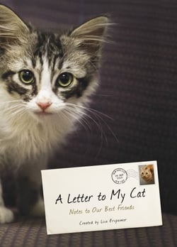A Letter to My Cat - Notes to Our Best Friends