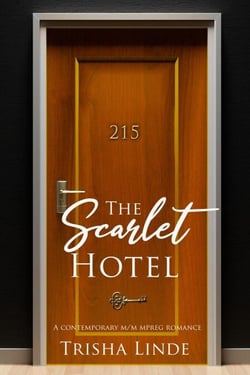 Room 215 - The Scarlet Hotel, #4