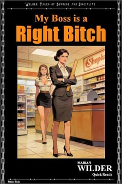 My Boss is a Right Bitch - Wilder Quick Reads, #2