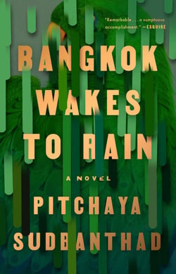 Bangkok Wakes to Rain - A Novel