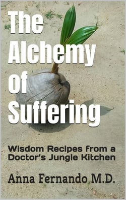 The Alchemy of Suffering: Wisdom Recipes from a Doctor’s Jungle Kitchen - Burn It Out, #1