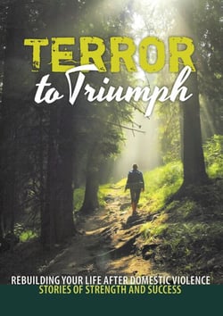 Terror to Triumph: Rebuilding Your Life After Domestic Violence – Stories of Strength and Success - Stories of strength and success, #2