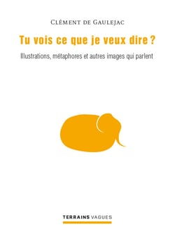 Tu vois ce que je veux dire ? - Illustrations, métaphores et autres images qui parlent