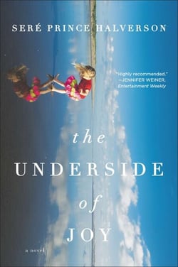 The Underside of Joy - A Novel