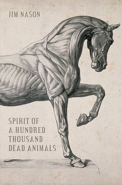 Spirit of a Hundred Thousand Dead Animals - Rudley Mystery, A