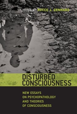 Disturbed Consciousness - New Essays on Psychopathology and Theories of Consciousness