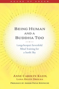 Being Human and a Buddha Too - Longchenpa's Sevenfold Mind Training for a Sunlit Sky