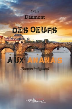 Des œufs aux ananas - Roman indigeste
