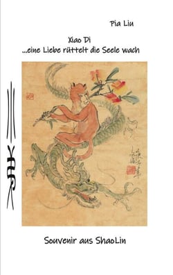 Xiao Di eine Liebe rüttelt die Seele wach - Souvenir aus ShaoLin