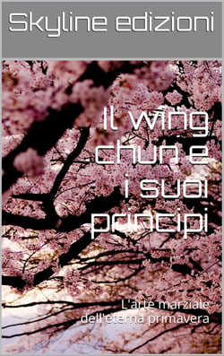 Il wing chun e i suoi principi