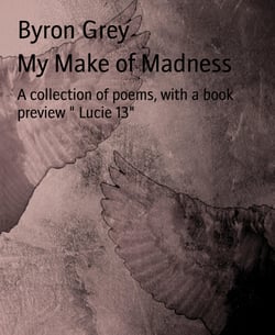My Make of Madness - A collection of poems, with a book preview " Lucie 13"