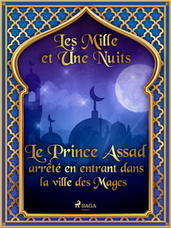 Le Prince Assad arrêté en entrant dans la ville des Mages 