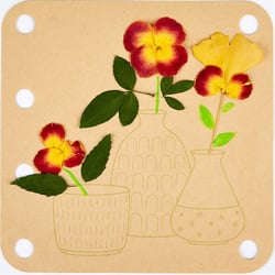 Kit de presse à fleurs Hape