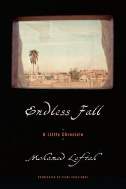 Endless Fall - A Little Chronicle
