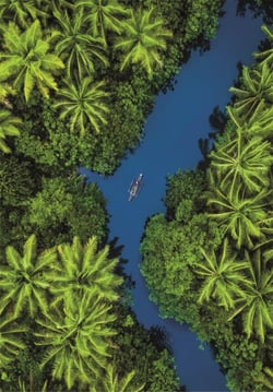 Puzzle 500 pièces - Tropical Aerial View - Clementoni