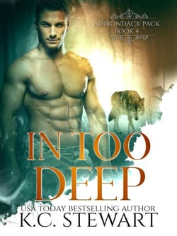 In Too Deep - Adirondack Pack, #5