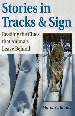 Stories in Tracks &amp; Sign