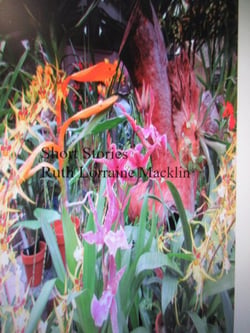 Short Stories