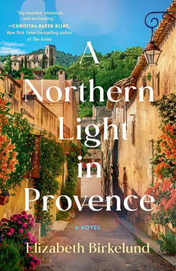 A Northern Light in Provence - A Novel