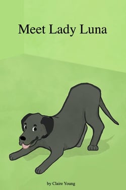 Meet Lady Luna - Lady Luna